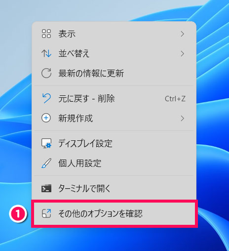 「その他のオプションを確認」をクリックする